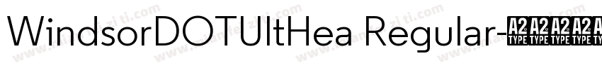 WindsorDOTUltHea Regular字体转换